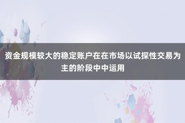 资金规模较大的稳定账户在在市场以试探性交易为主的阶段中中运用
