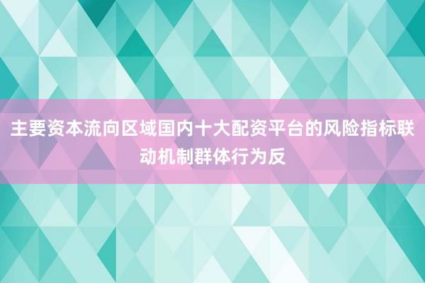 主要资本流向区域国内十大配资平台的风险指标联动机制群体行为反