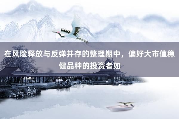 在风险释放与反弹并存的整理期中，偏好大市值稳健品种的投资者如