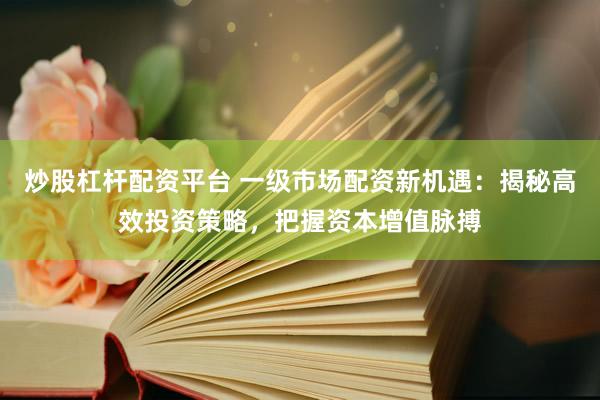 炒股杠杆配资平台 一级市场配资新机遇：揭秘高效投资策略，把握资本增值脉搏