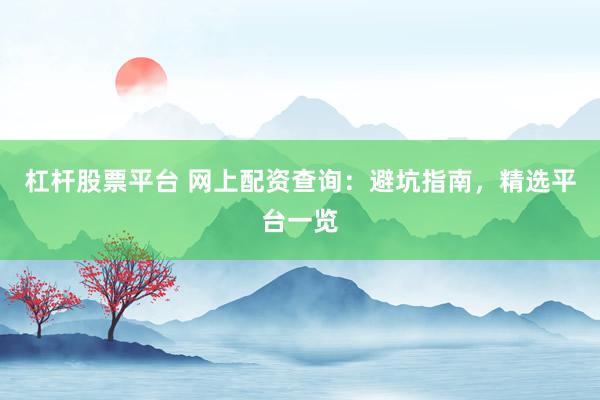 杠杆股票平台 网上配资查询：避坑指南，精选平台一览